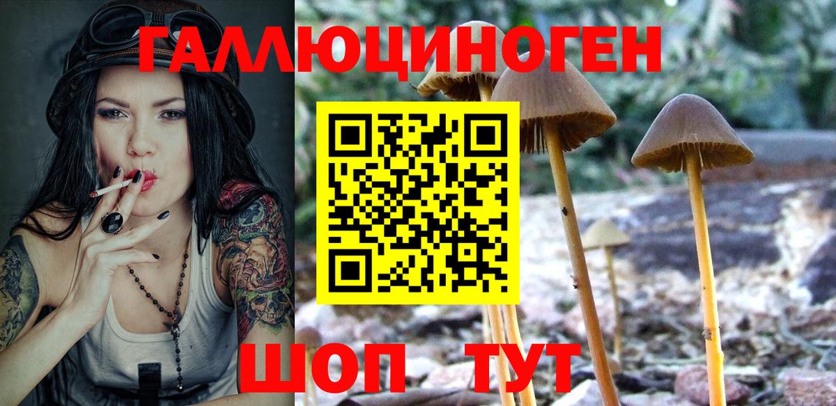 Красноярск  Галлюциногенные грибы Psilocybe  Вход с VPN  Галлюциногенные грибы GOLDEN TEACHER 