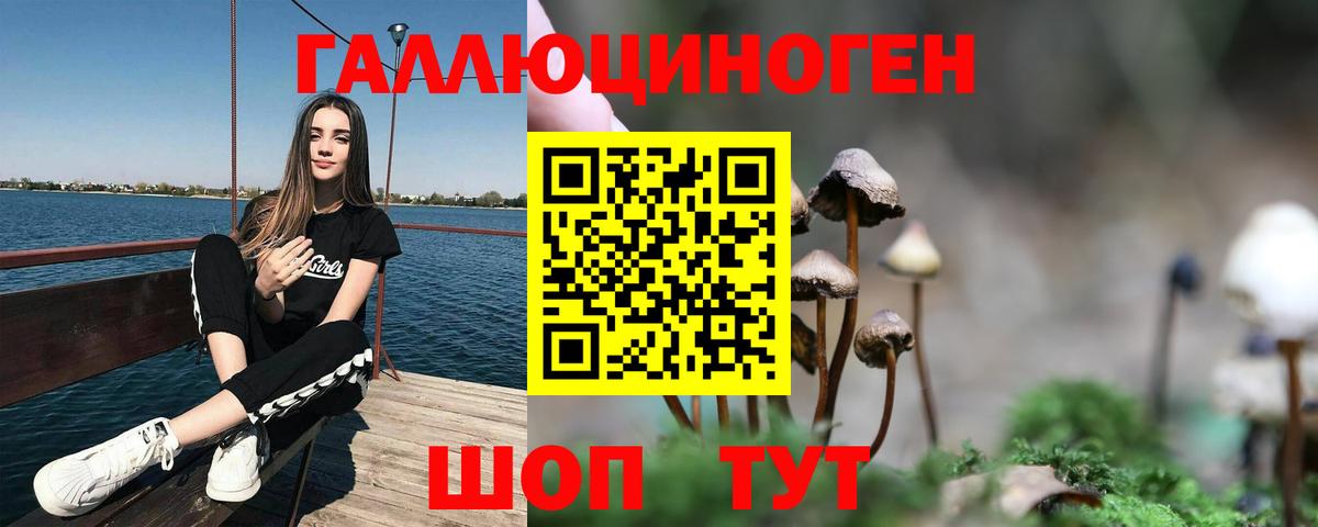 Псилоцибиновые грибы Cubensis Красноярск